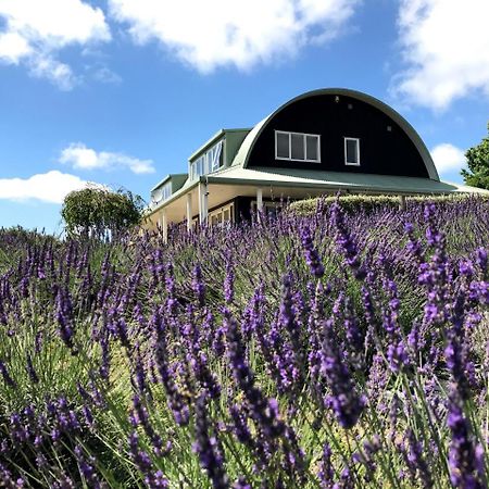 Riverhead Lavender Hill Bed & Breakfast エクステリア 写真