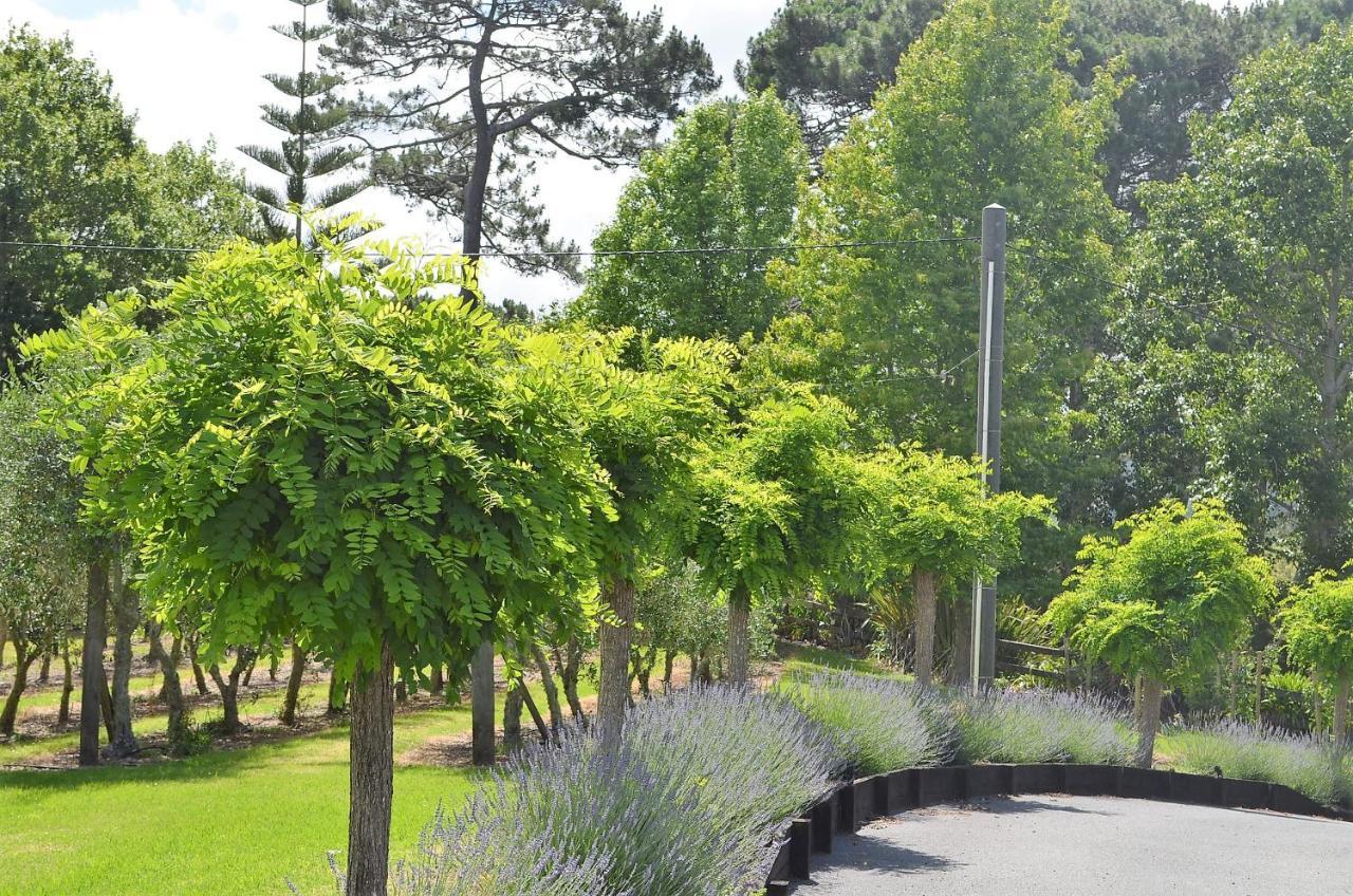 Riverhead Lavender Hill Bed & Breakfast エクステリア 写真