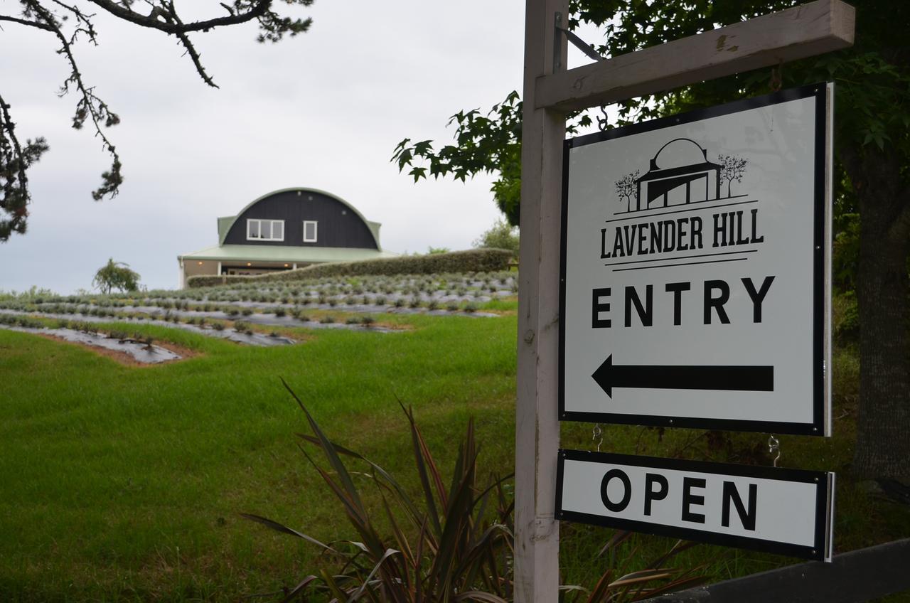 Riverhead Lavender Hill Bed & Breakfast エクステリア 写真