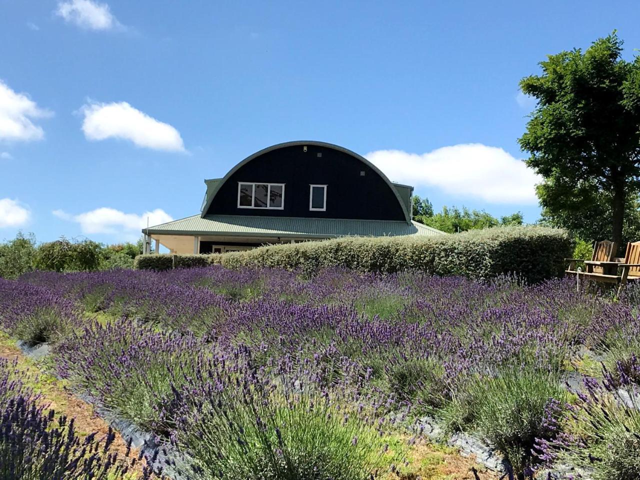 Riverhead Lavender Hill Bed & Breakfast エクステリア 写真